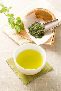 感謝の八女茶 30袋入_感謝の八女茶 3g × 30袋 ティーバッグ お茶 日本茶 緑茶 八女茶 薫り 風味 ふくよか 香り 甘み まろやか 冷茶 ギフト用 プレゼント用 感謝 ギフトボックス 人気 