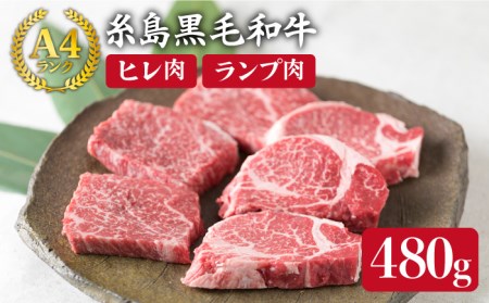 【極上ステーキ】 ヒレ ランプ 480g A4ランク 糸島 黒毛和牛 【糸島ミートデリ工房】[ACA009] ステーキ ヒレ ヒレ肉 フィレ ヘレ 牛肉 赤身 黒毛和牛 国産