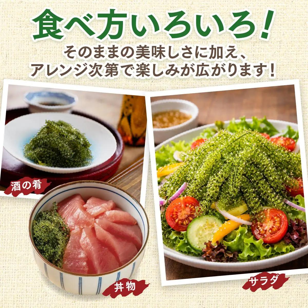 海ぶどう　250g× 1 パック（ご自宅用）