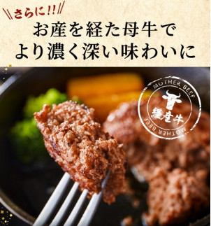 010AA09N.但馬牛経産牛ハンバーグ（150g×5個）_イメージ3