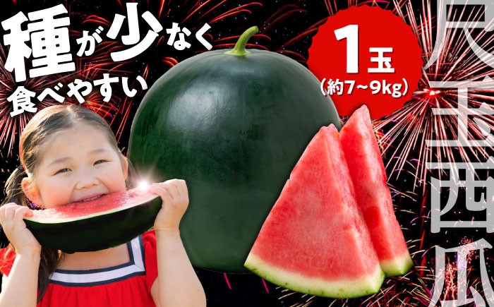 
            【先行予約・7月以降発送】尺玉西瓜(すいか) 1玉（約7kg〜9kg）スイカ すいか  西瓜 尺玉スイカ 黒スイカ 果物 日田市 / JAおおいた  [AREW001]
          