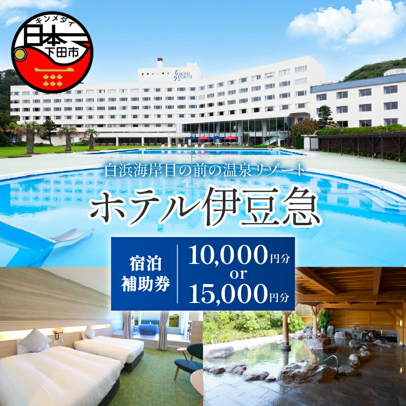 【ふるさと納税】 旅行 宿泊 温泉 宿泊補助券 割引券 チケット10,000円 15,000円 オーシャンビュー ホテル伊豆急 白浜海岸 静岡 下田 伊豆 送料無料