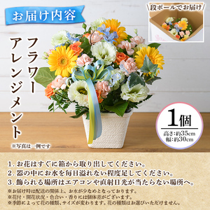 プロにおまかせ！フラワーアレンジメント(1個：約高さ30cm幅30cm)花 ギフト プレゼント 生花 花束 記念日 お祝い＜離島配送不可＞ 花 ギフト プレゼント 生花 花束 記念日 お祝い 【花のふ