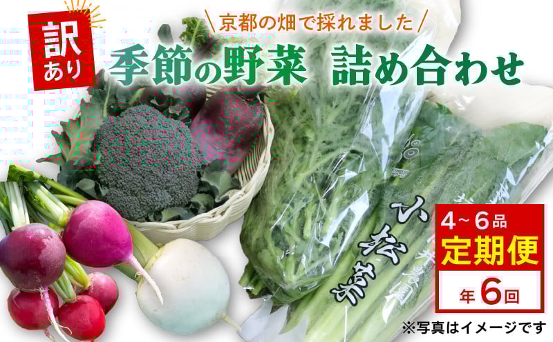
            訳あり 定期便 6回 京都 季節の野菜 セット 4～6品 詰め合わせ 小松菜 ルッコラ わさび菜 菊菜 ねぎ なす 大根 ブロッコリー トマト 久御山 野菜 サラダ おひたし 鍋  食育 
          