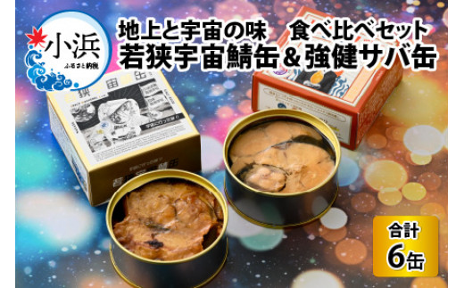 若狭宇宙鯖缶＆強健サバ缶　地上と宇宙の味　食べ比べセット 計6缶 [BFBT003]