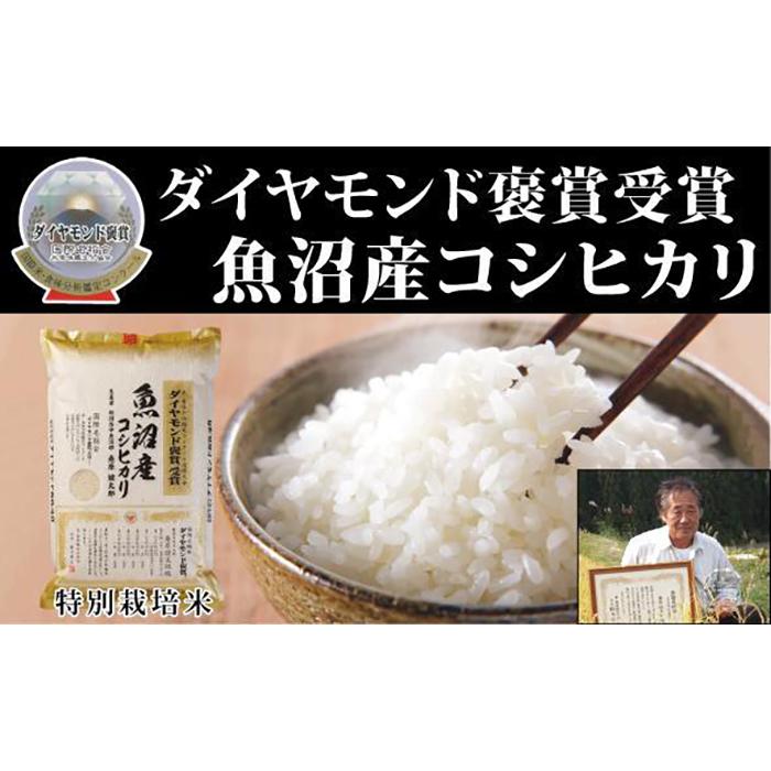 【ふるさと納税】【令和7年産】 新米 最高級 魚沼産こしひかり 5kg×1袋 選べる配送回数 特別栽培米 ダイヤモンド褒賞受賞 コメ 米 新潟県 津南町