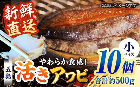 【日付指定必須】【配送エリア限定】五島産養殖活きアワビ 10個セット 約500g BBQ あわび 鮑 五島市/（有）都工業[PEX003]