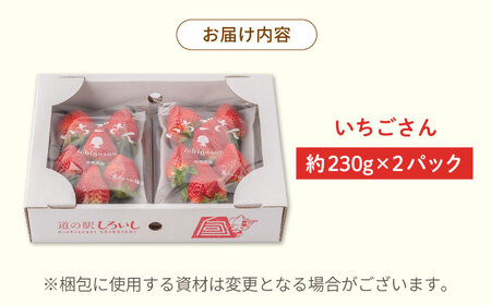 【R8年1月以降発送】「いちごさん」460g / いちご  [IAA037]