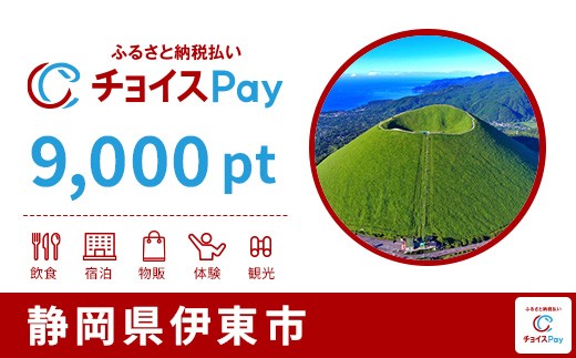 
                  伊東市チョイスPay 9,000pt【会員限定のお礼の品】
                