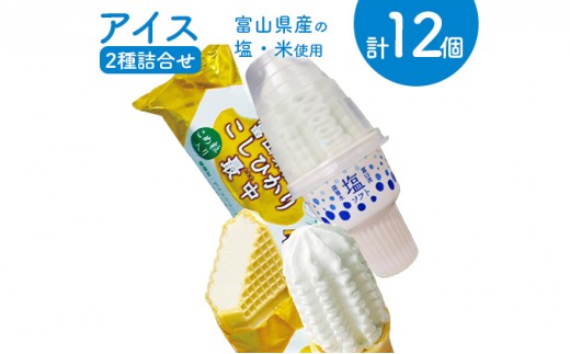 
[№5313-0223]アイス 詰め合わせ 塩ソフト＆富山県産こしひかり最中 計12個 アイスクリーム ソフトクリーム モナカ/横山冷菓/富山県 黒部市
