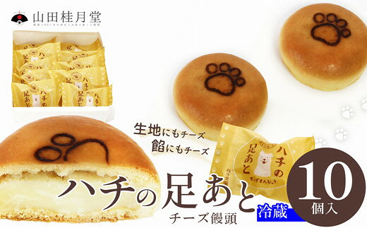 【ふるさと納税】ハチの足あと 10個入り 【40P5612】【(株)山田桂月堂】