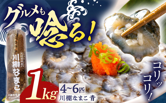 
            ＜川棚町イチオシ！最高に旨いなまこです！＞【先行受付】川棚 生 なまこ 約1kg ※2025年12月中旬以降発送【森水産】[OAI001] / 大村湾なまこ 高級なまこ 新鮮なまこ ナマコ おつまみ 海鮮 魚介 新鮮魚介類 正月 産地直送海鮮 海鼠 
          