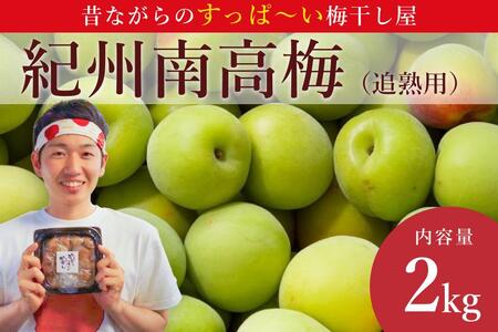 ［先行予約］樹上南高梅の青梅 約2kg 追熟用 梅ボーイズ 紀州南高梅 5月中旬～6月中旬頃に順次発送予定 A-093a