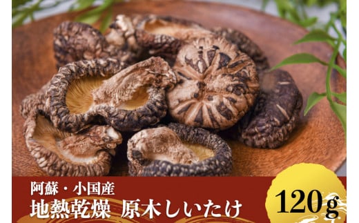 【地熱の里 坂本農園】阿蘇 熊本 小国郷 小国産 原木しいたけ 乾燥しいたけ 椎茸 ドライ 地熱乾燥 わいた温泉郷 SDGｓ 常温保管 30g 4袋 計120g ご自宅用 贈り物 プレゼント