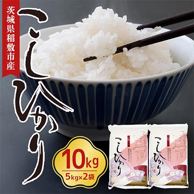 ふるさと納税 稲敷市 【令和7年産】稲敷産こしひかり10kg(5kg×2袋)