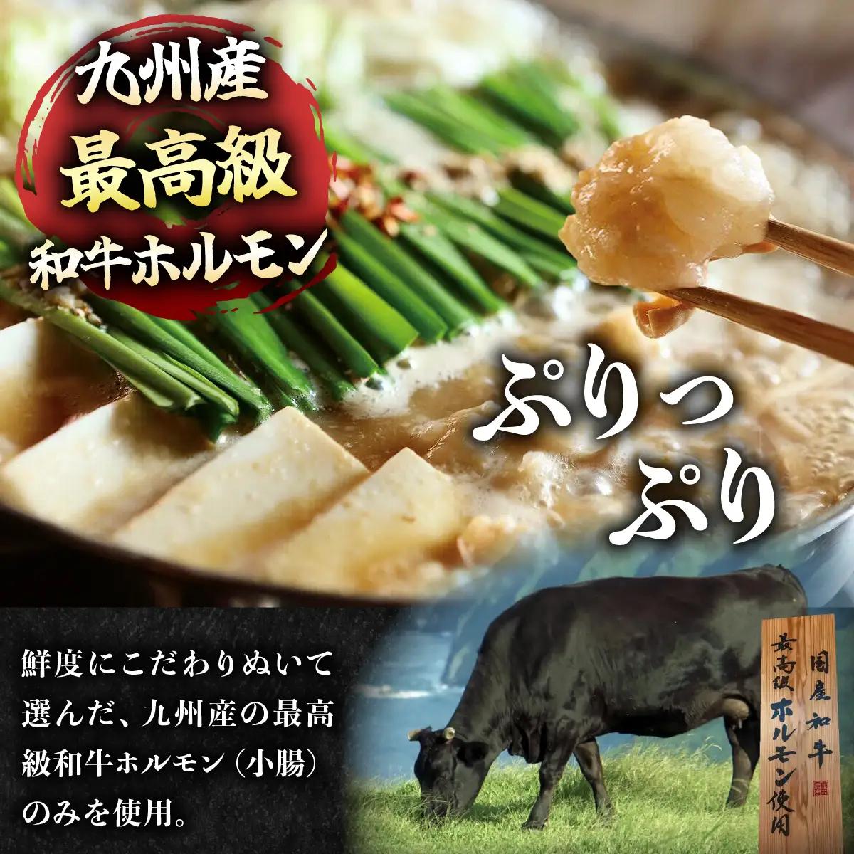 ＜定期便3回 隔月お届け＞博多もつ鍋前田屋 みそ味2～3人前【LF005】