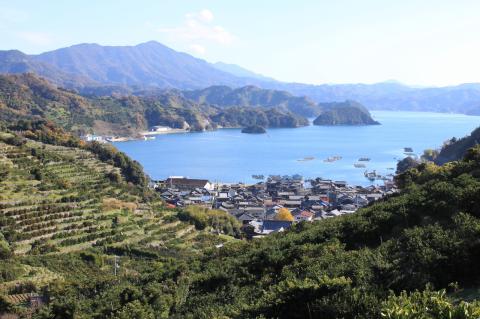 明浜産真珠ペンダント・ファボリ（ホワイトピンク）