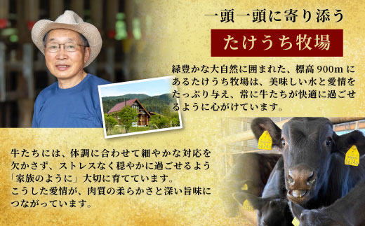 酒粕育ち 幻の牛 段戸山高原牛 ロース肉スライス (すき焼き・しゃぶ用) 500g 250ｇ×2パック ロース スライス 国産牛 牛肉 鍋 ブランド牛 蓬莱泉 -079