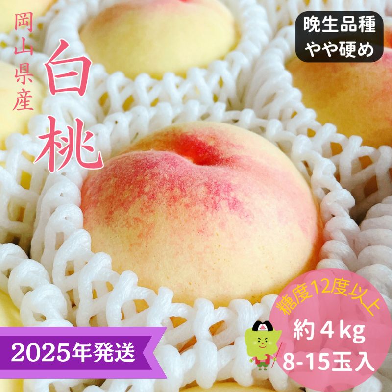 【2025年先行受付】 白桃 特秀 ロイヤル 大玉 晩生品種 約4kg(8～15玉) 岡山県産 桃 もも モモ 御中元 ギフト 御礼 プレゼント 御礼 御祝 御供 果物 くだもの フルーツ