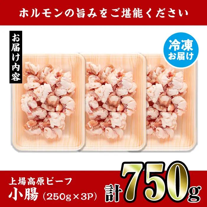 上場高原ビーフ 小腸 ホルモン 750g 【スーパーよしだ】 i1156