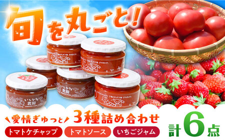 石川農園・愛情ぎゅっと詰め合わせセット / 恵那市 / クリエイティブファーマーズ [AUAH001]