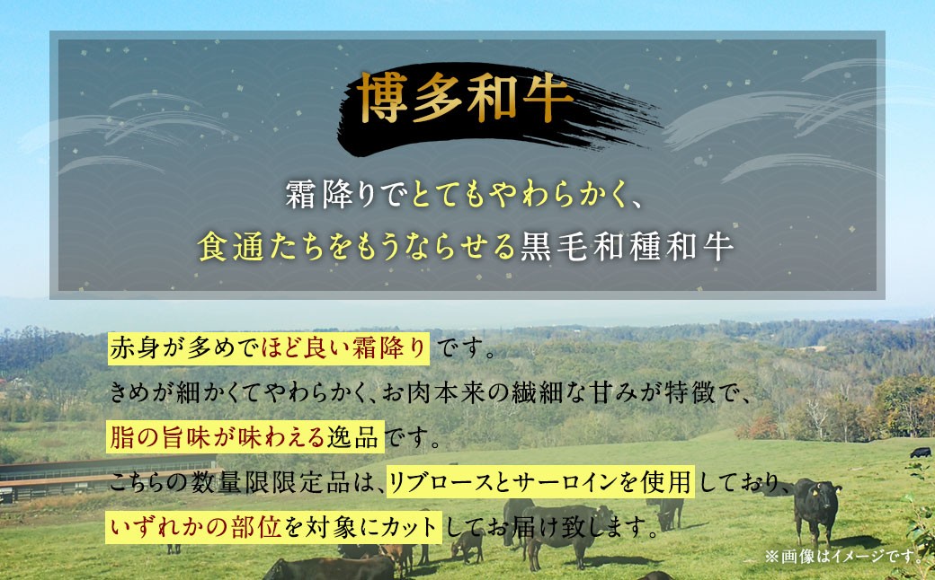【数量限定博多和牛】ロースステーキ用 約500g（2枚入）