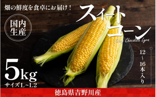 とうもろこし サニーショコラライラ 5kg 12～16本 極甘 スイートコーン コーン 生食用 野菜 やさい サラダ スープ コーンスープ 生 BBQ アウトドア 旬 朝採り 人気 お取り寄せ 先行予約 産地直送 期間限定 おすすめ 2026年5月～6月順次発送予定