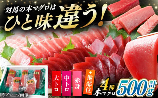 【通常配送】対馬産 生 本マグロ 500g （赤身、中トロ、大トロ）《対馬市》【対海】 [WAH025]