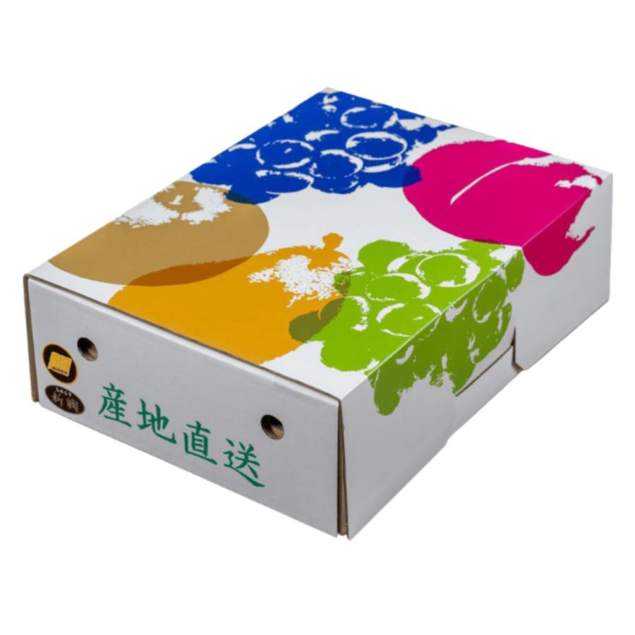 ＜旭ファーム＞新高梨 3kg 贈答用