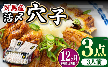 【全12回定期便】対馬産 活〆 穴子 ３点 セットC 新鮮 あなご 刺身 天ぷら 海鮮 三人前  [WAS014]