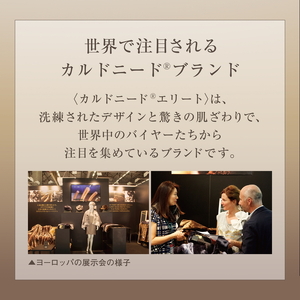 カルドニード・エリート 敷き毛布 ベージュ セミダブル (120×205cm) [4224]