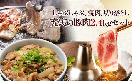 宮崎県産豚肉ミックス2.4kgセット【真空小分け】3種の料理(切り落とし・しゃぶしゃぶ・焼肉)が楽しめるバラエティ詰め合わせ