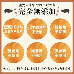 a877 《定期便全5回》鹿児島黒豚「短鼻豚」無添加ソーセージ＆長期熟成ベーコン【鹿児島ますや】ウインナー ウィンナー フランクフルト ベーコンブロック 無添加 長期熟成 おつまみ 冷凍 黒豚 バラ肉