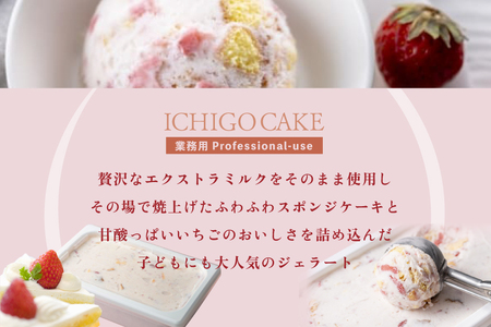 【毎月定期便】　THE ICE　業務用１リットル いちごケーキ ×5ヵ月定期便 be003-1076-100-5  （ あいす アイス アイスクリーム ミルク 業務用 北海道 別海町 人気 ふるさと納