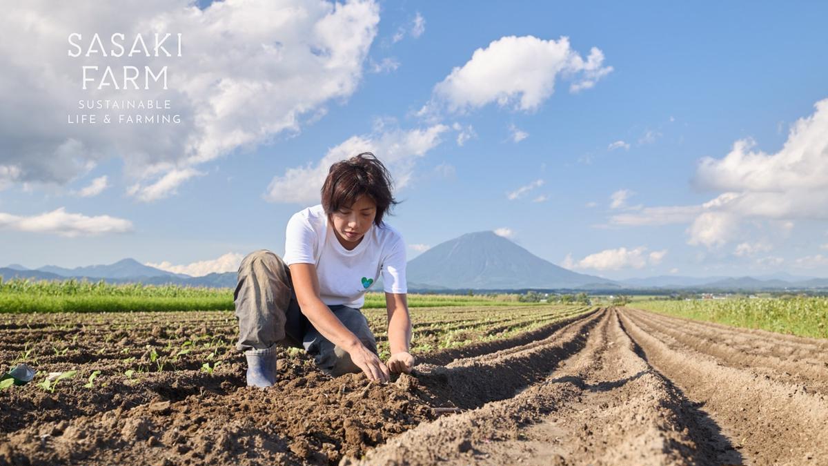 [5回お届け 5月・7月・9月・11月・3月 定期便]〈自然栽培〉佐々木ファーム 旬の野菜詰め合わせ ～循環セット～ 厳選野菜7-10品目程度 先行予約 直送 北海道 洞爺湖町