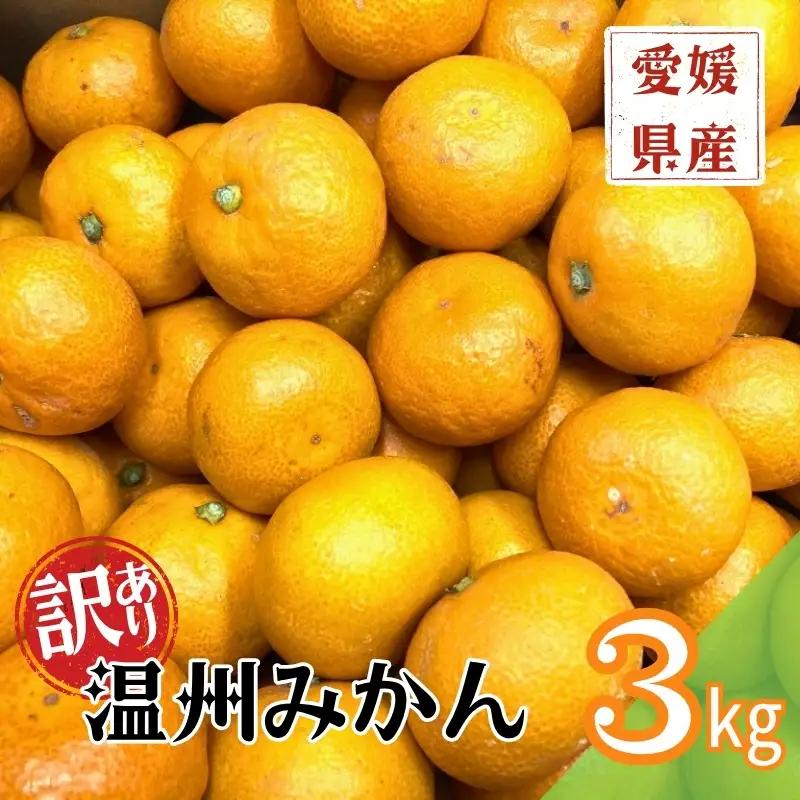 【2026年先行予約】訳あり 温州みかん 3kg ご家庭用 【2026年11月上旬以降発送】 人気 愛媛 みかん 柑橘 伊予市｜A109