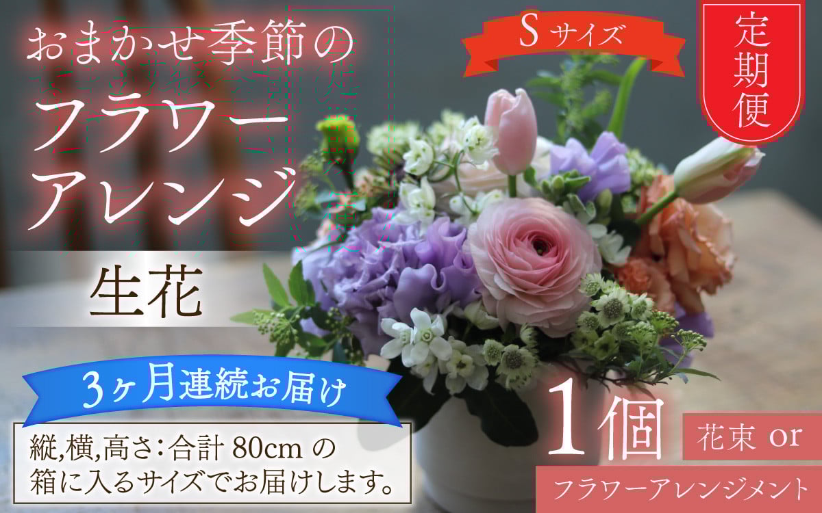 
                  【定期便3回】おまかせ季節のフラワーアレンジ（生花）Ｓサイズ×3ヶ月【母の日申込期日：4/26（日）まで】【母の日発送予定日：～5/11（月）まで】お好み 日時指定可能 母の日
                