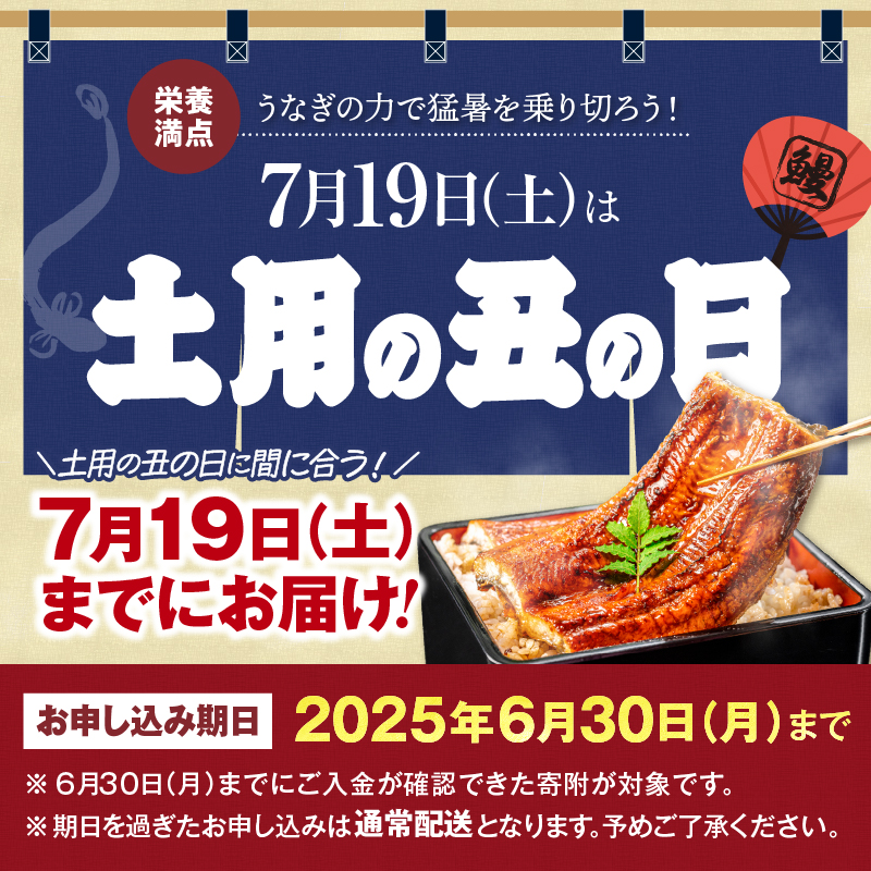 2181 鹿児島県大隅産うなぎ蒲焼6尾 計900g　KN007-006