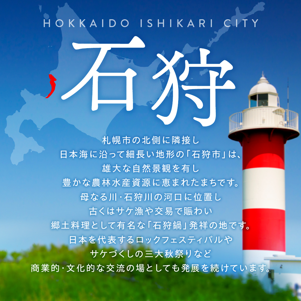 使い切りMY洗浄器「お尻シャワシャワ」8箱セット