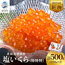 【ふるさと納税】【令和6年新物】塩いくら500g(250g×2)【配送不可地域：離島】【1565548】