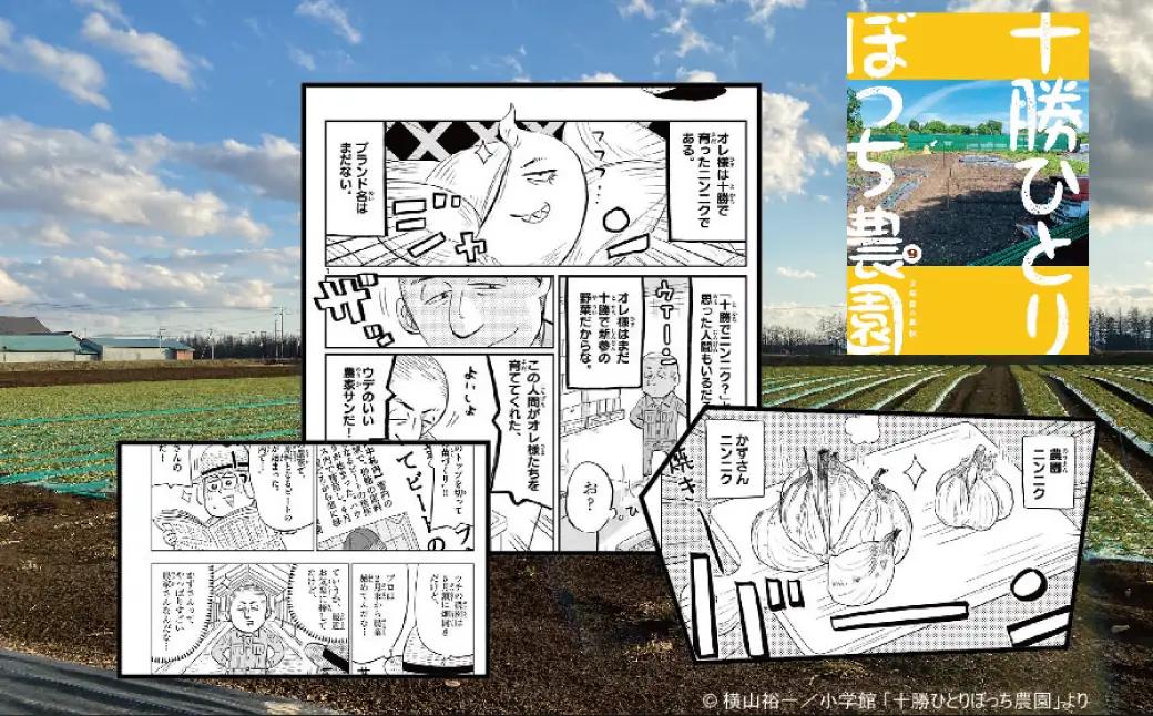 甘くて美味しい！【鎌田農園の至高黒にんにく】220g[020-0254]