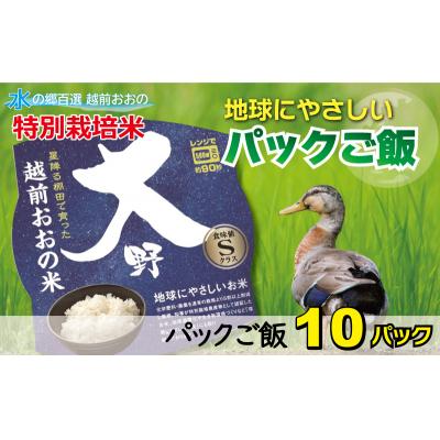 ふるさと納税 大野市 地球にやさしいパックご飯 10食入り【白米】 「特別栽培米」-地球にやさしいお米-