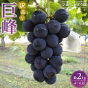 【ふるさと納税】【先行予約】【訳あり・数量限定】 巨峰（種あり）約2kg 〔2025年8月上旬より順次発送〕 | ぶどう フルーツ 果物 くだもの 食品 人気 おすすめ 送料無料