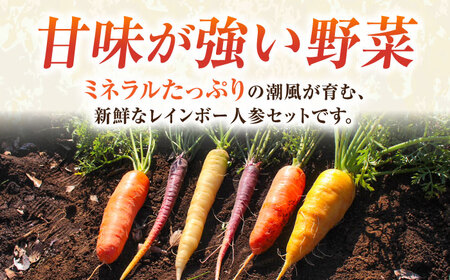 【先行予約】【数量限定】レインボー　人参セット　約2kg（10月〜6月）【鈴也ファーム】[AKCE014]