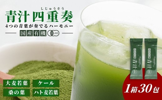 青汁【青汁四重奏】 国産有機青汁四重奏 1箱 30包 有機JAS認証4種の青葉 | 青汁 有機青汁 健康青汁 毎日青汁 青汁ジュース 青汁個包装 あおじる アオジル 健康食品 野菜 健康 食物繊維 鉄分 飲料 飲みやすい 簡単 国産 送料無料 豊後高田市