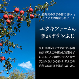 りんご 【 数量限定 】3月発送 雪完熟 自然 葉とらず 糖度13度以上 家庭用 サンふじ 約 5kg 20～23個【 弘前市産 青森りんご 】