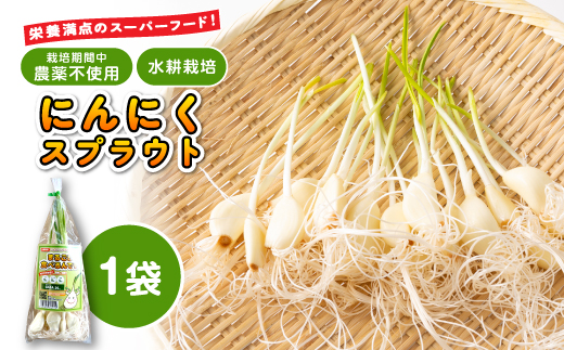 
            にんにくスプラウト＜まるごと食べるんです＞　1袋【1673303】
          