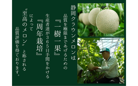 ★発送月選択できる返礼品★ 『クラウンメロン（白級）特大玉 1玉』 箱入り メロン 人気 厳選 ギフト 贈り物 デザート グルメ 袋井市 3月発送