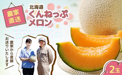 北海道　くんねっぷメロン2玉【1076857】