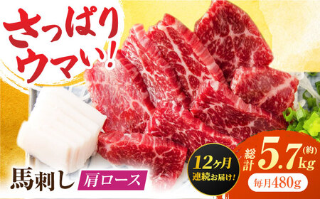 【12回定期便】肩ロース馬刺し 約500g（6pc）【吉里精肉】[ZEW038]